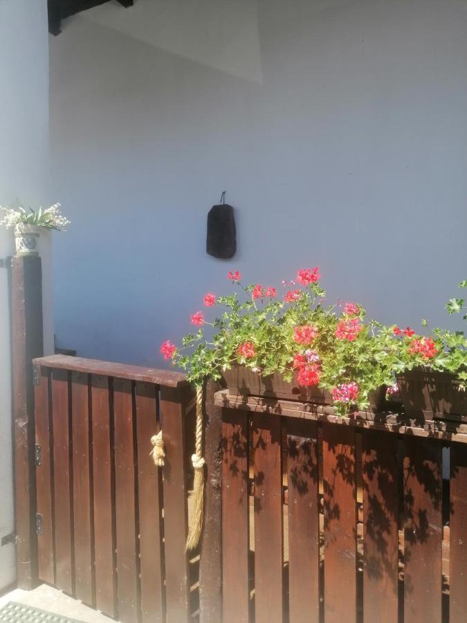Hotel Casa Huber Carta  Exterior foto